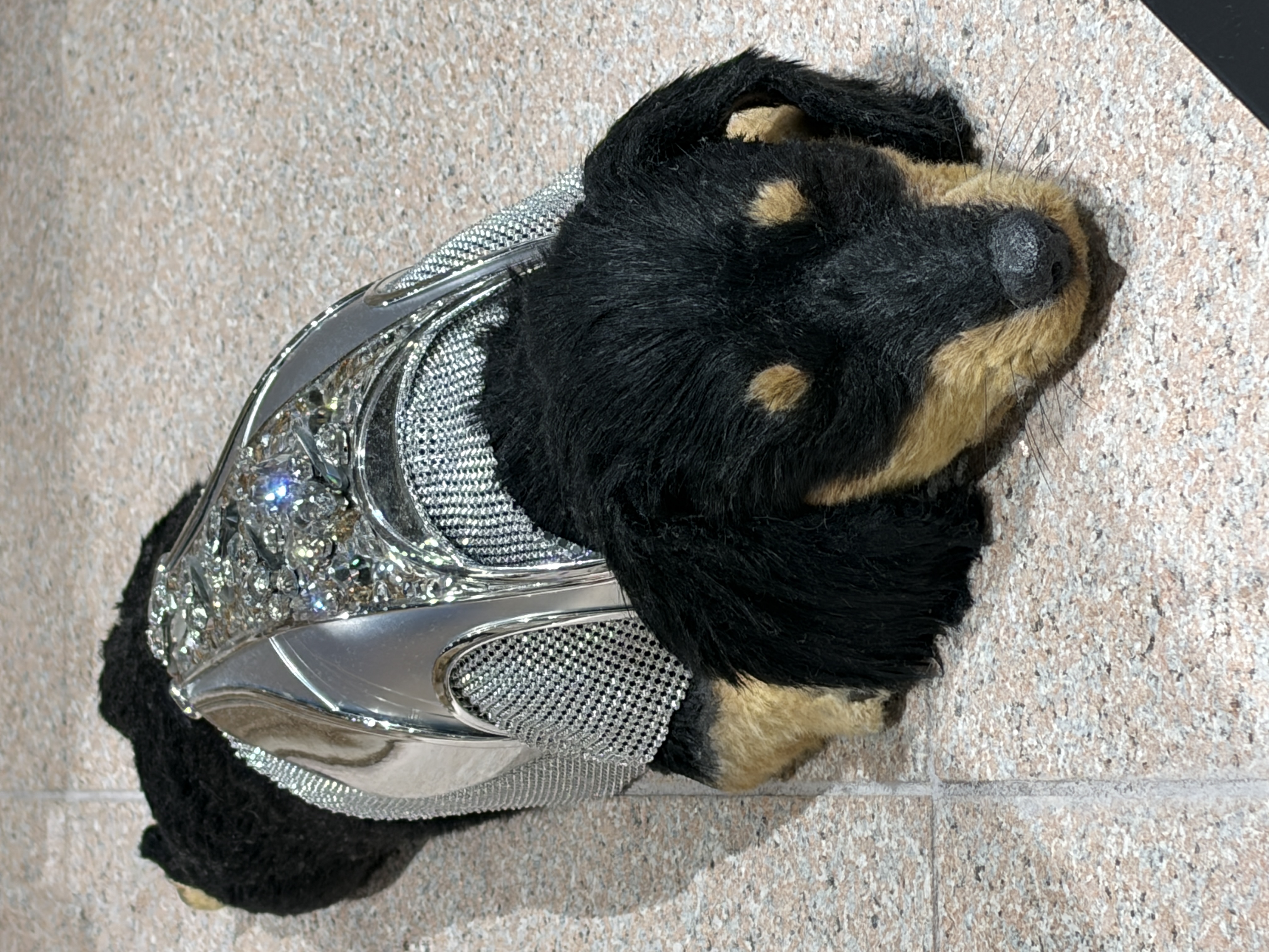 Haus Nowhere Smaller realistic dachshunds